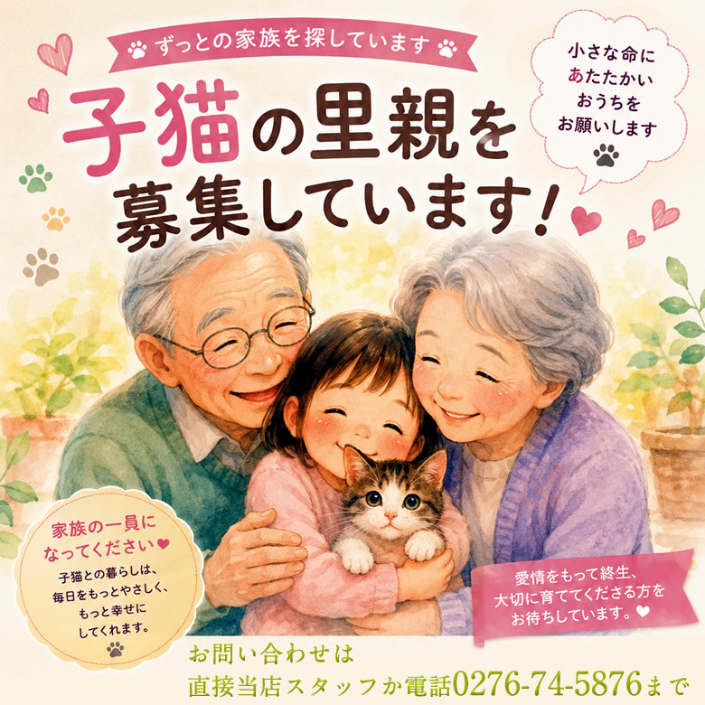 保護猫います