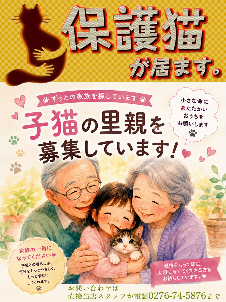 保護猫います